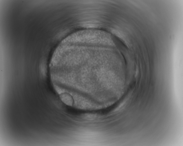 X0000088140255200706042015