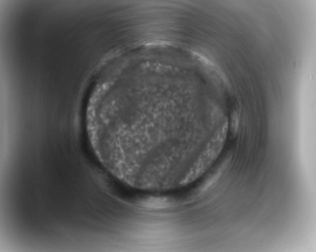 X0000088140256200706042015