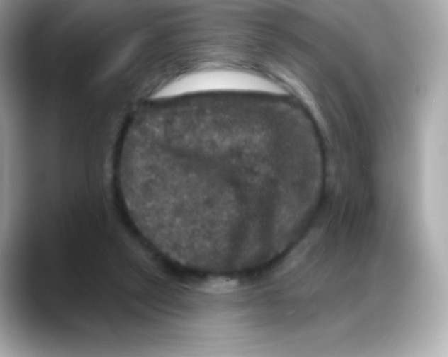 X0000088140257200706042015