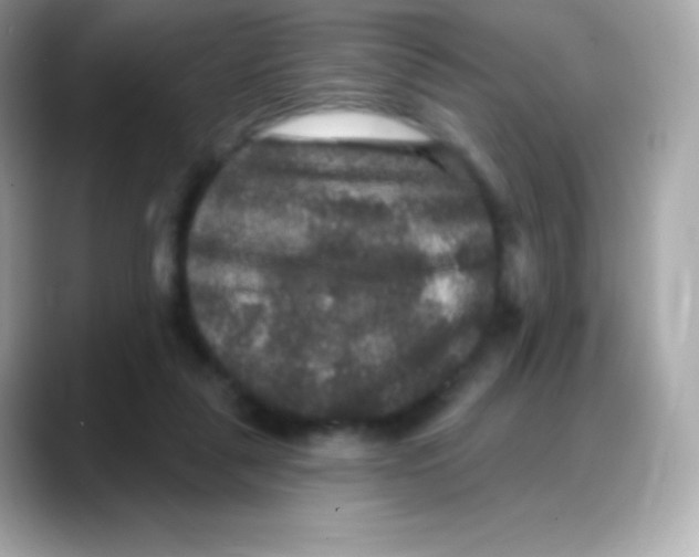 X0000088140259200706042015