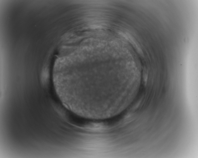 X0000088140260200706042015