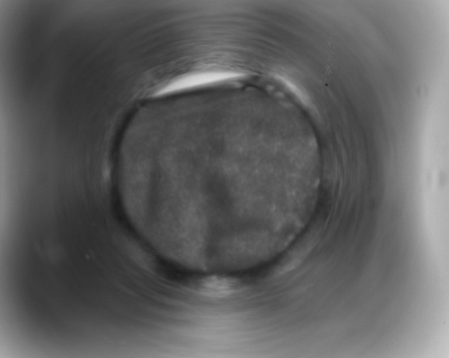 X0000088140261200706042015