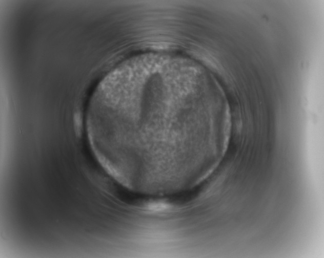 X0000088140262200706042015