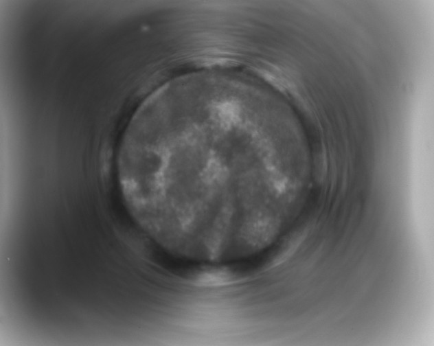 X0000088140263200706042015