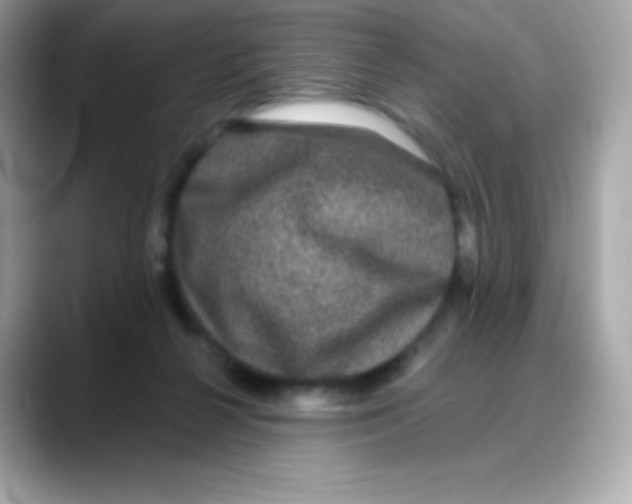 X0000088140264200706042015