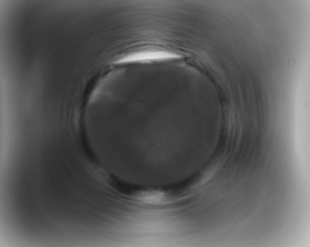 X0000088140266200706042015