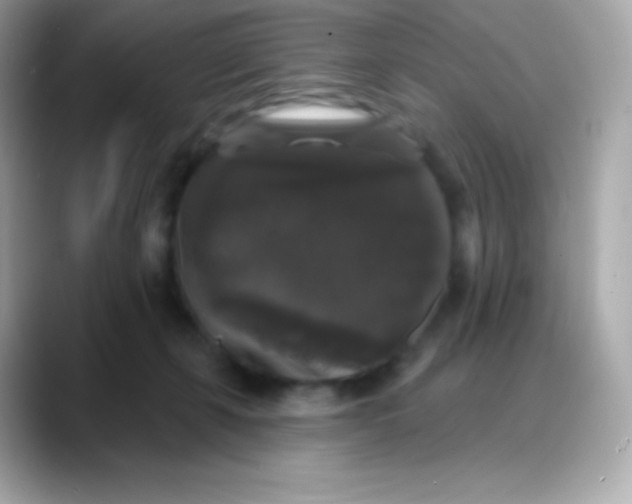 X0000088140271200706042015