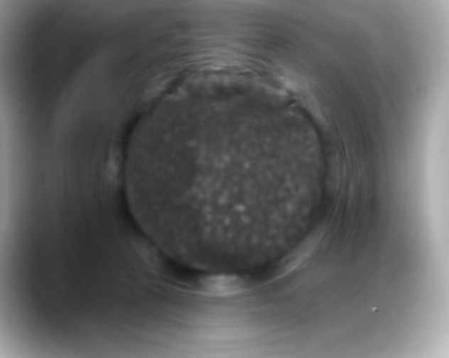 X0000088140273200706042015