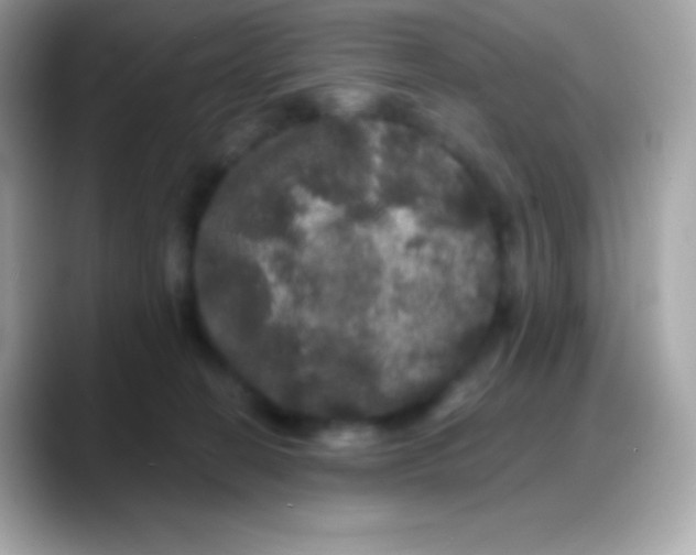 X0000088140274200706042015