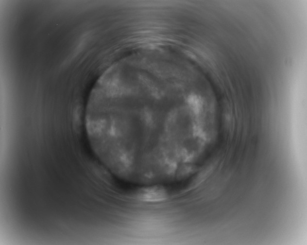 X0000088140275200706042015