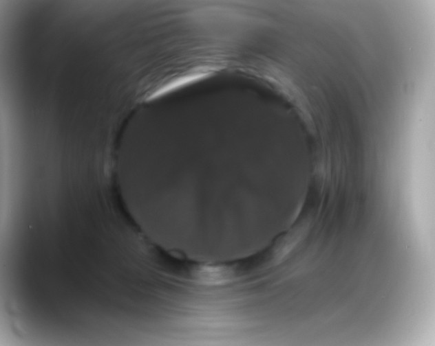 X0000088140277200706042015