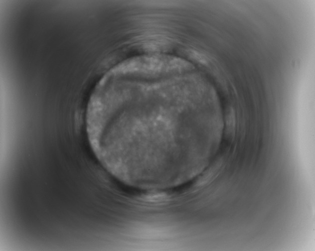 X0000088140278200706042015