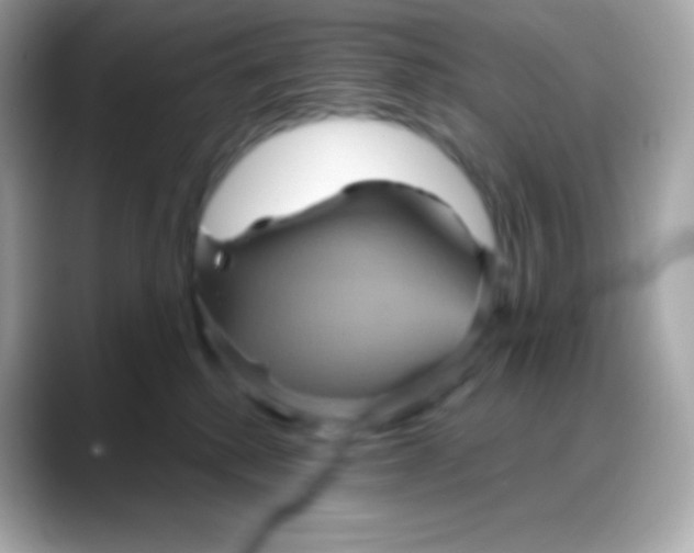 X0000088140280200706042015