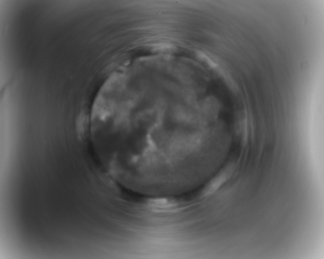 X0000088140281200706042015