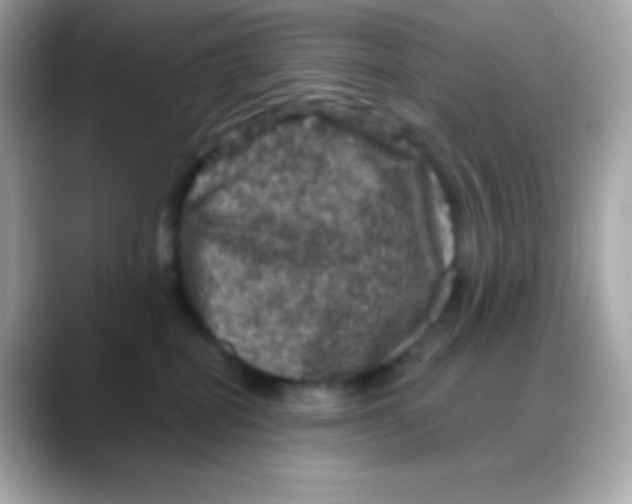 X0000088140282200706042015