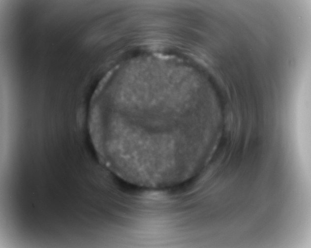 X0000088140283200706042015