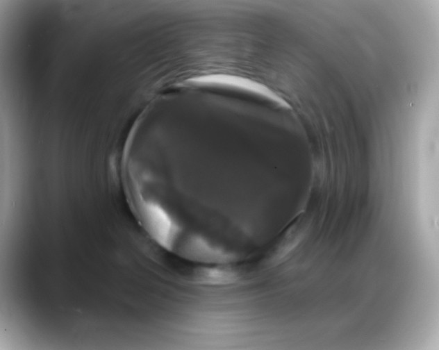 X0000088140286200706042015