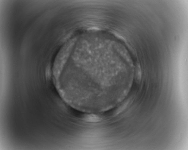 X0000088140287200706042015