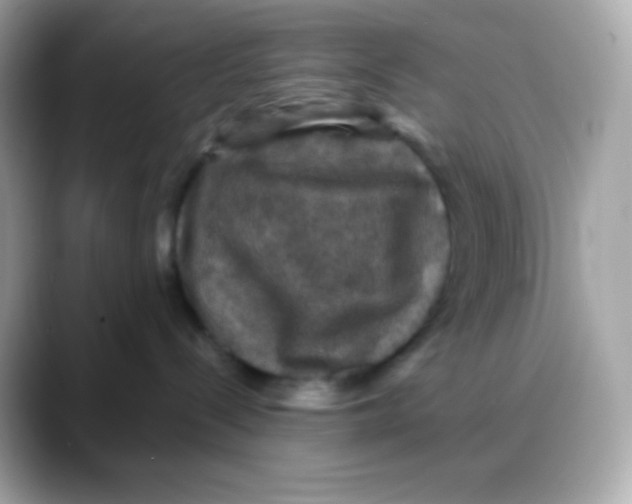 X0000088140288200706042015