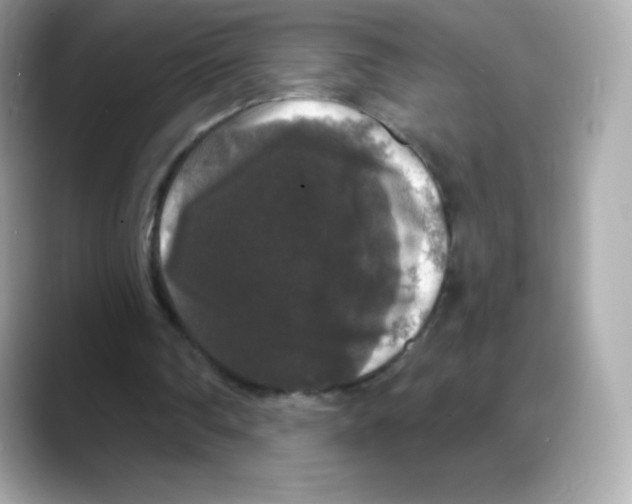 X0000088140290200706042014