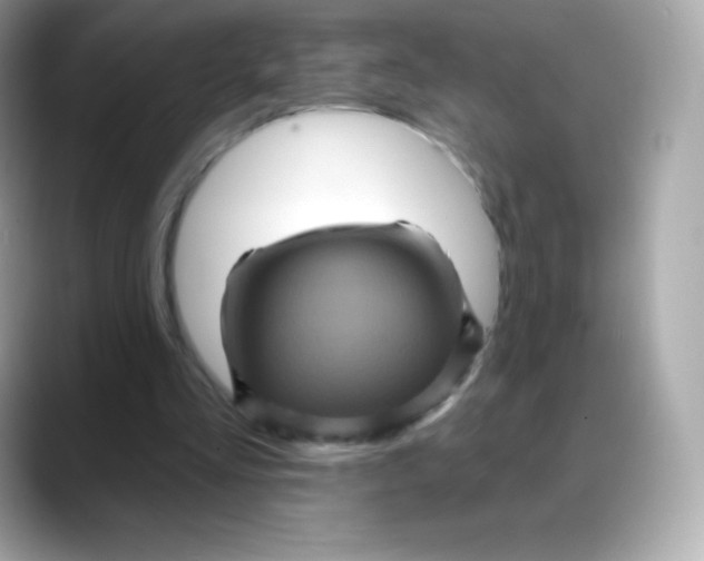 X0000088140293200706042014