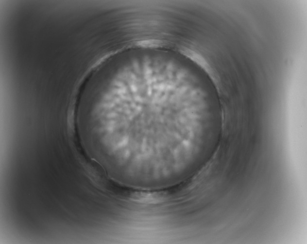 X0000088140297200706042014