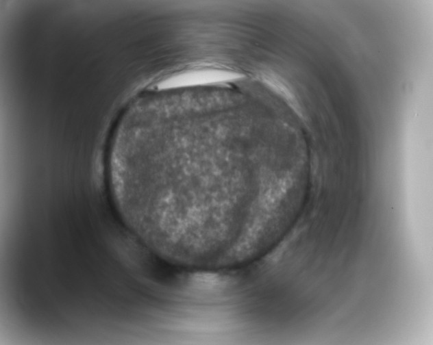 X0000088140298200706042014