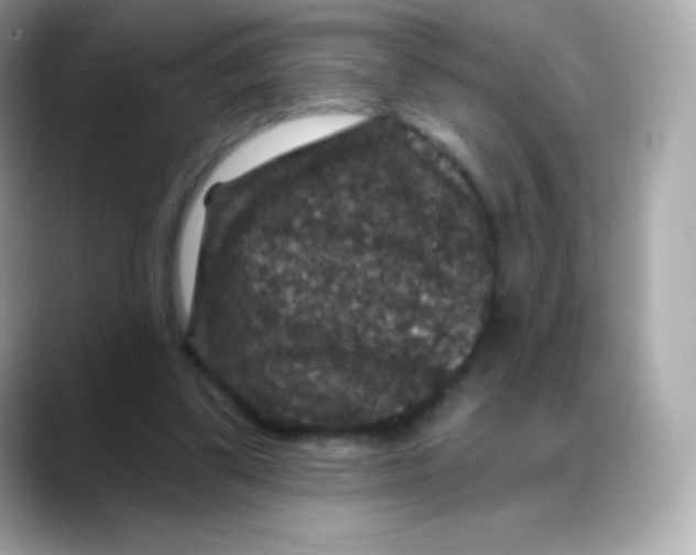 X0000088140299200706042014