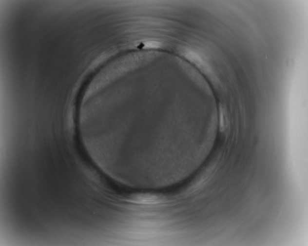 X0000088140300200706042014