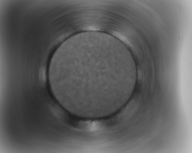 X0000088140302200706042014