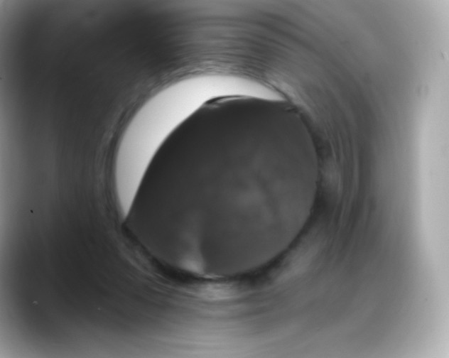 X0000088140303200706042014