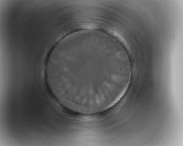 X0000088140305200706042014