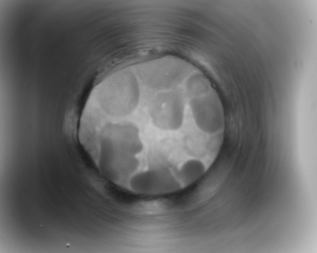 X0000088140307200706042014