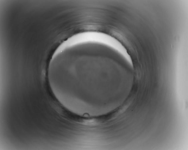 X0000088140309200706042014