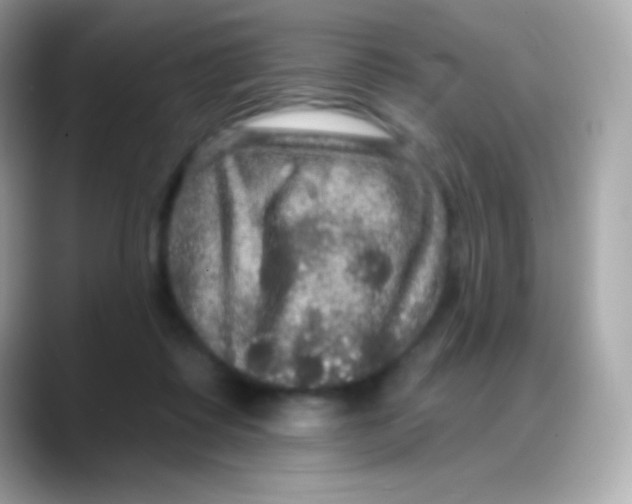 X0000088140315200706042014