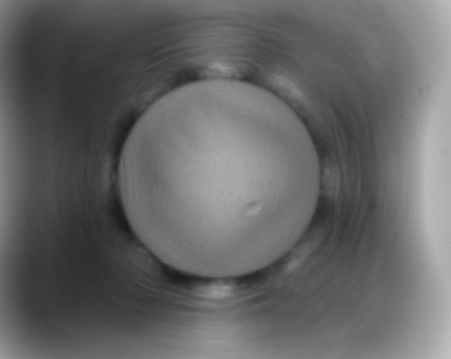 X0000088140318200706042014