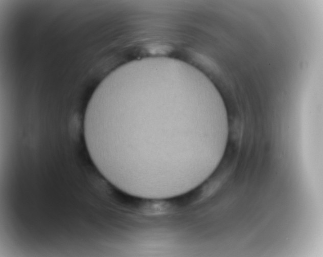 X0000088140321200706042014