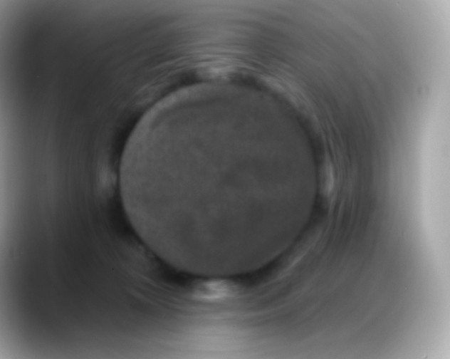 X0000088140324200706042014