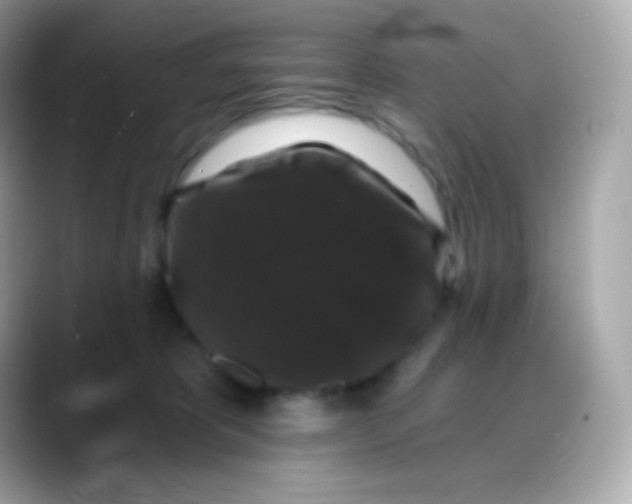 X0000088140325200706042014