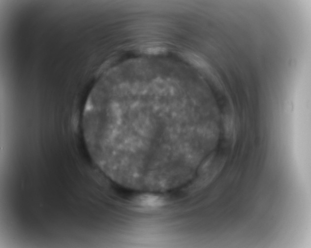 X0000088140326200706042014