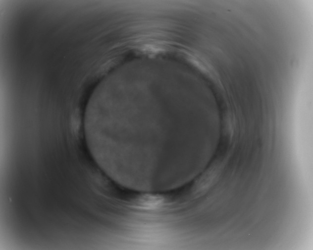 X0000088140328200706042014