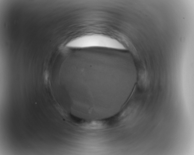 X0000088140329200706042014