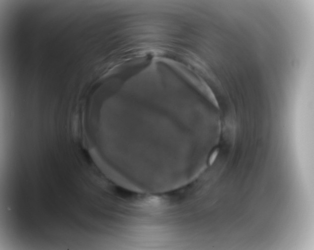 X0000088140330200706042014