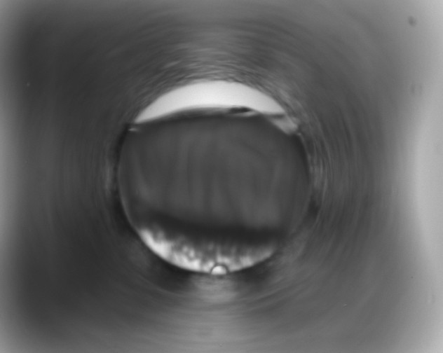 X0000088140331200706042014