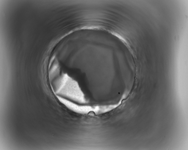 X0000088140337200706042013