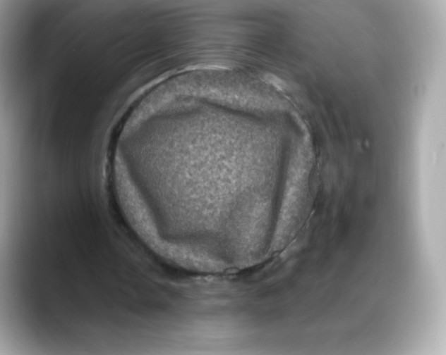 X0000088140338200706042013