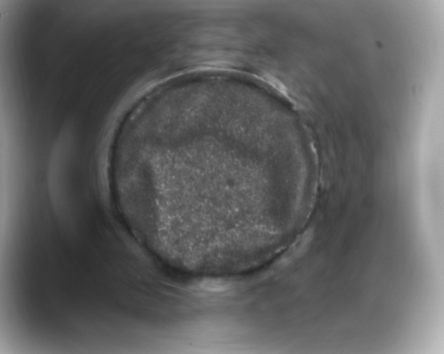 X0000088140341200706042013