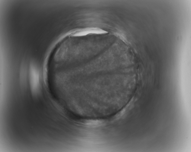 X0000088140342200706042013