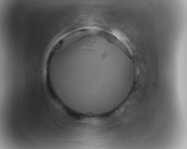 X0000088140344200706042013