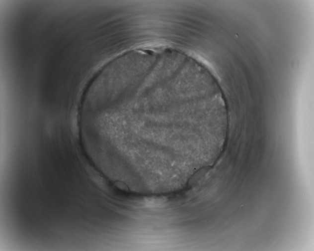 X0000088140345200706042013